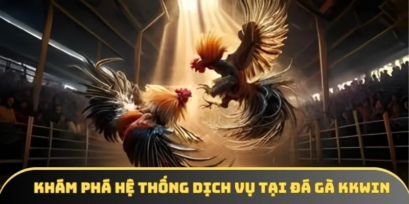Khám phá hệ thống dịch vụ tại đá gà KKWIN