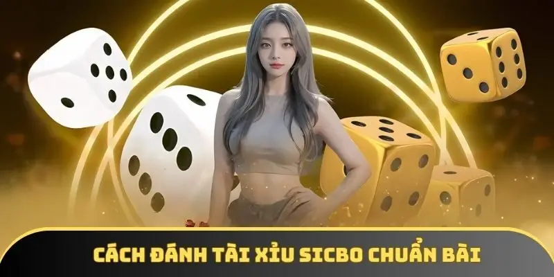 Cách đánh tài xỉu sicbo chuẩn bài, áp dụng mọi ván cược