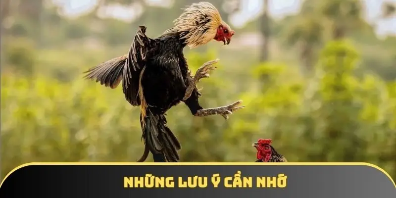 Những lưu ý cần nhớ Những lưu ý cần nhớ