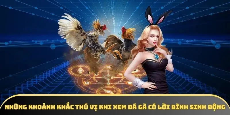 Những khoảnh khắc thú vị khi xem đá gà có lời bình sinh động Những khoảnh khắc thú vị khi xem đá gà có lời bình sinh động