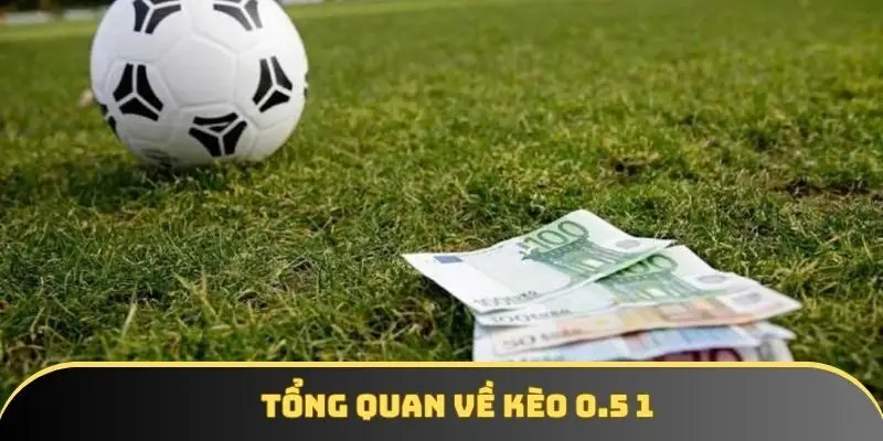 Tổng quan về kèo 0.5 1 Tổng quan về kèo 0.5 1