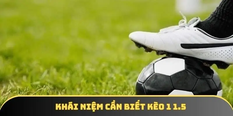 Đôi điều cơ bản cần nắm rõ của kèo 1 1.5
