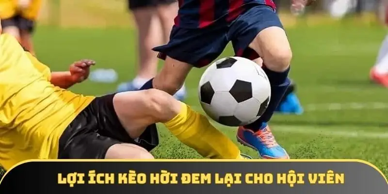 Lợi ích to lớn kèo hời đem lại cho hội viên