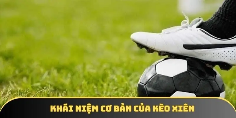 Khái niệm cơ bản cần biết về cược xiên hôm nay