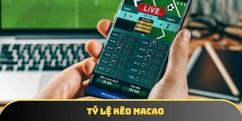 Tỷ lệ kèo Ma cao | Tổng hợp các dạng thông dụng nhất 2025