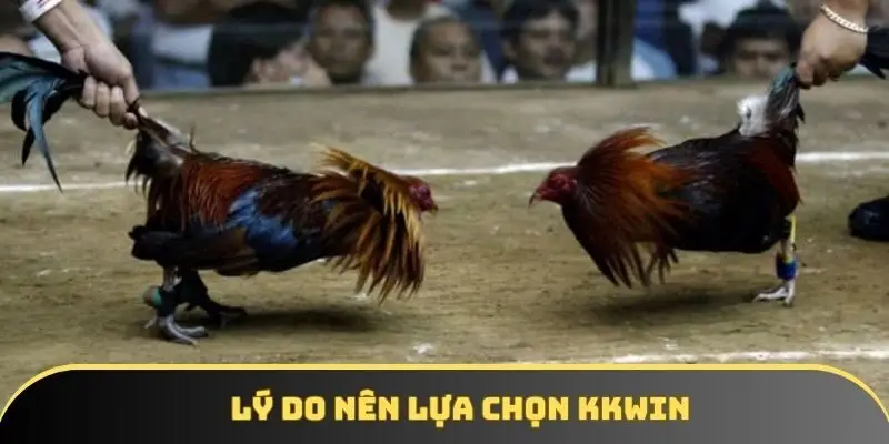 Lý do nên lựa chọn KKWIN Lý do nên lựa chọn KKWIN