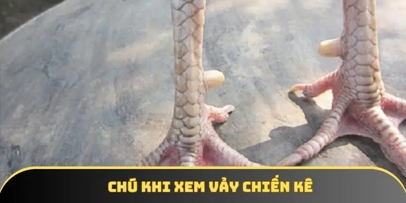 Chú khi xem vảy chiến kê Chú khi xem vảy chiến kê